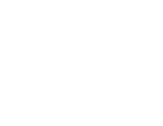Accerol Mittal