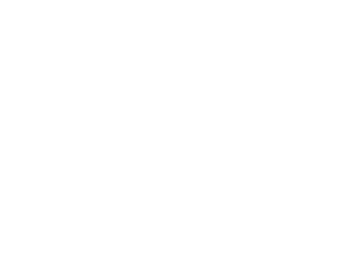 Saint Gobain